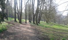 OCM Headington Hill Park