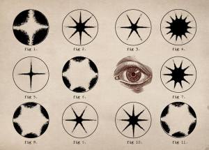 995620_271935073011829_7820051265895731760_n